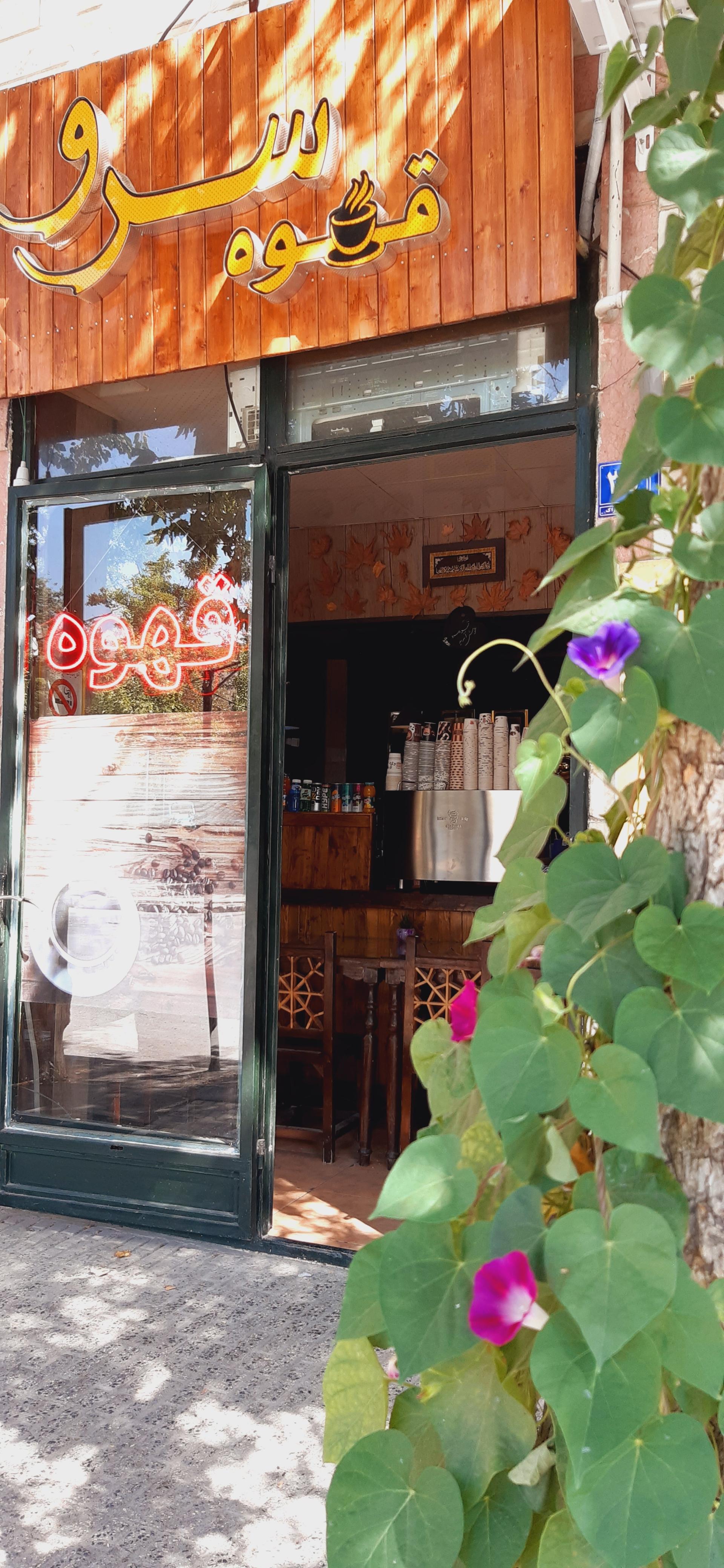 عکس قهوه سرو