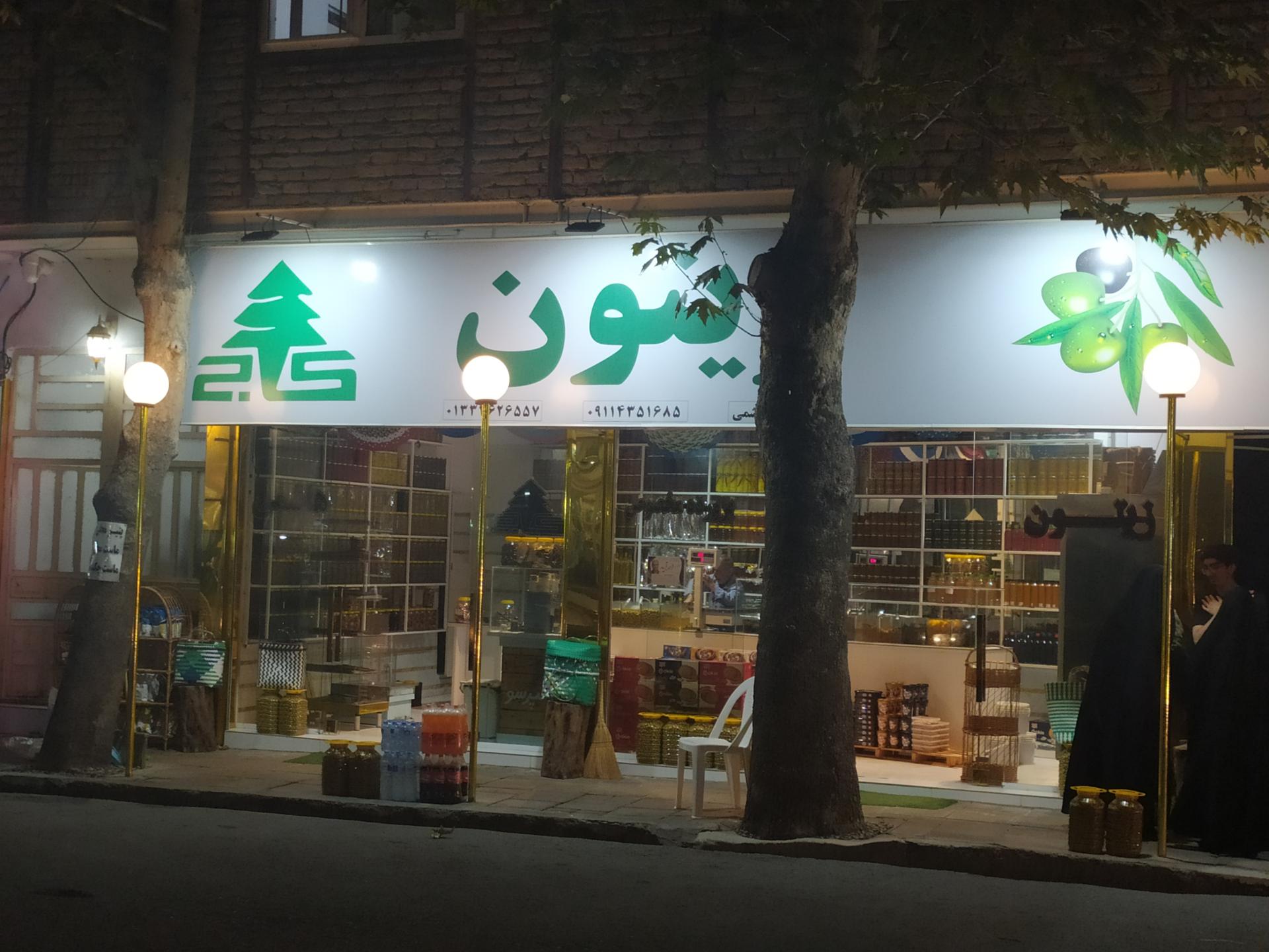 عکس زیتون کاج