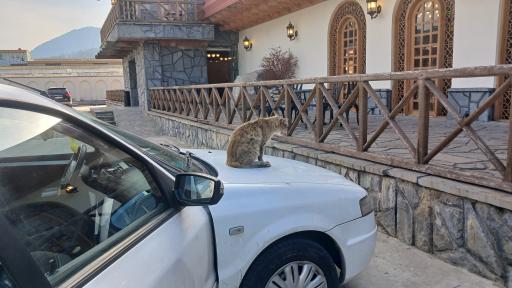 عکس مجتمع پذیرایی رفاهی لاله زار 