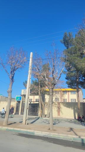 عکس مأمونیه