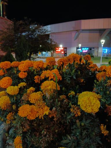 عکس فرودگاه بین المللی شهید مدنی تبریز