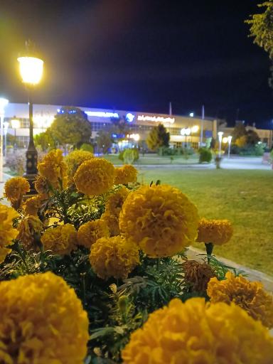 عکس فرودگاه بین المللی شهید مدنی تبریز