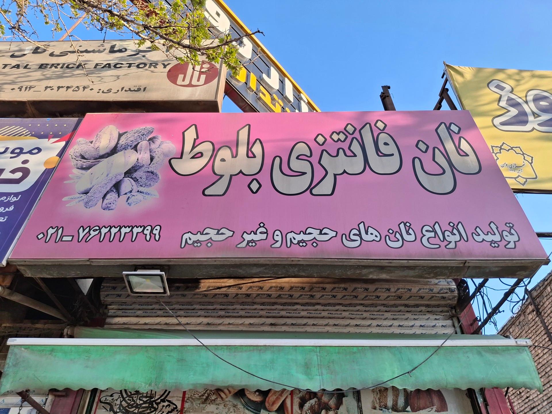 عکس نان فانتزی بلوط