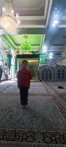 عکس امامزاده یاسر و ناصر
