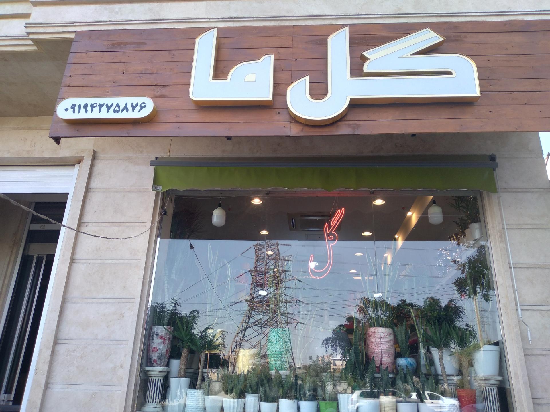 عکس گل ما
