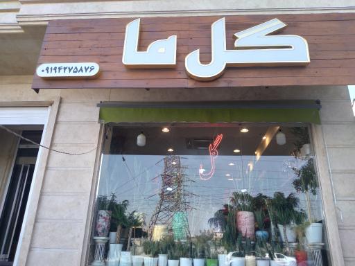 عکس گل ما