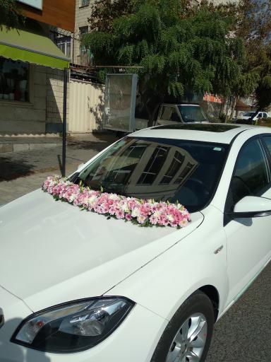 عکس گل ما