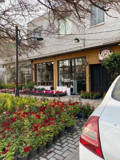 عکس گلفروشی گل رز