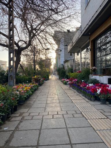 عکس گلفروشی گل رز