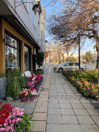 گلفروشی گل رز