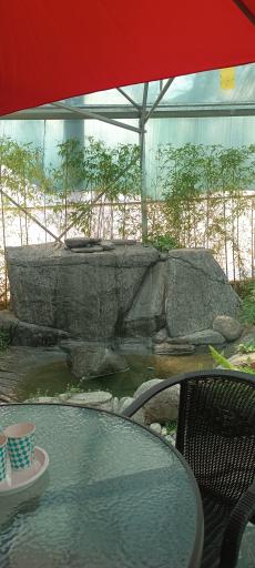 عکس مجسمه سازی شیرزادی 