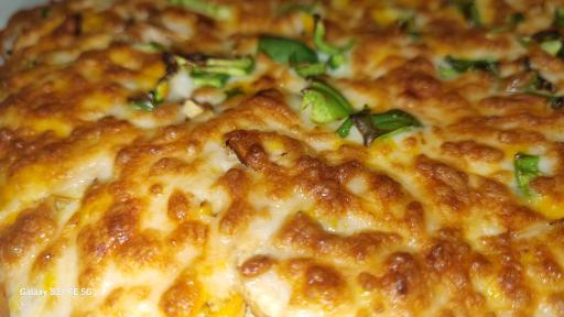 عکس پیتزا آیلا