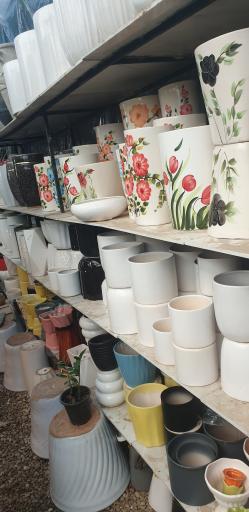 عکس گل و گیاه ناربن