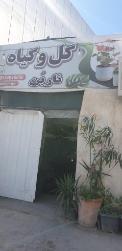 عکس گل و گیاه ناربن