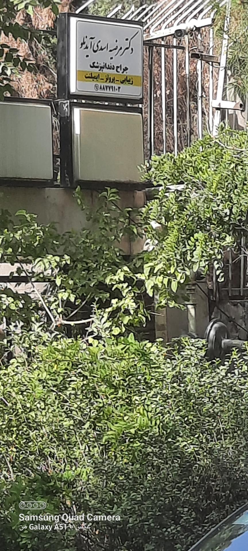 عکس دکتر مرضیه اسدی آیدنلو