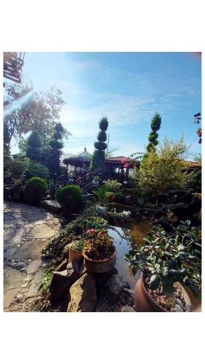 عکس رستوران کافه گلباران