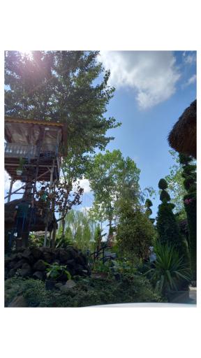 عکس رستوران کافه گلباران