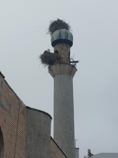 عکس مسجد جامع