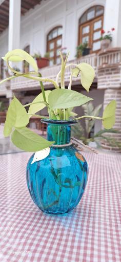 عکس عمارت ضیغمی