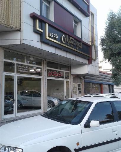 نمایشگاه اتومبیل اتونیکران