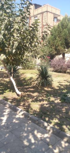 عکس پارك باب الحوائج