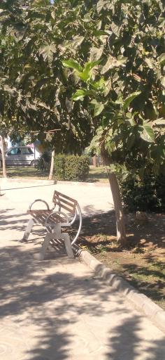 عکس پارك باب الحوائج