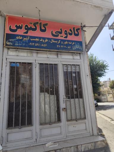 عکس کادویی کاکتوس
