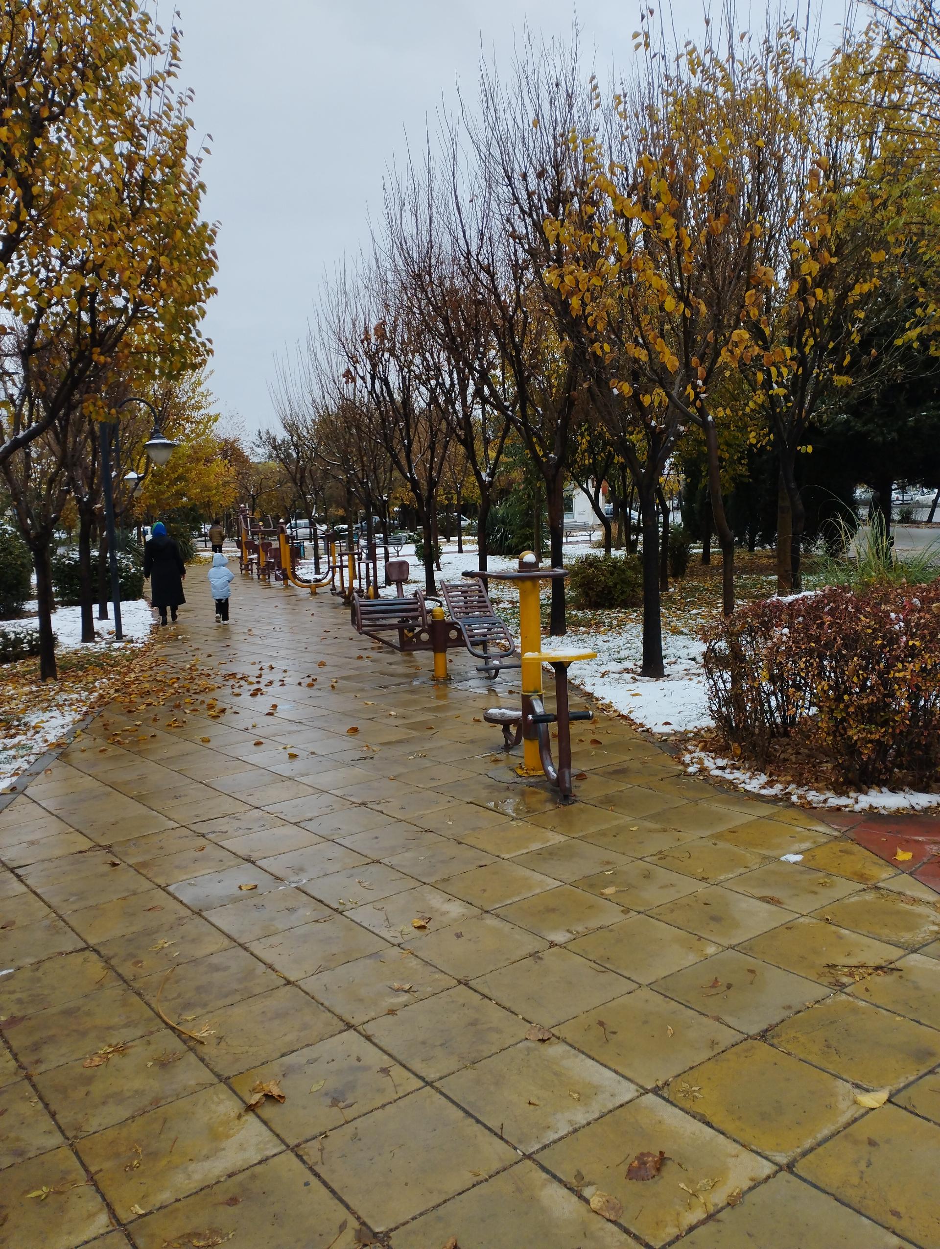 عکس بوستان مروارید