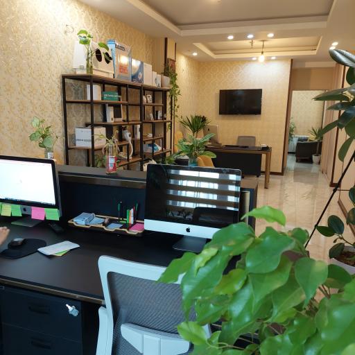 عکس مدیک کالا