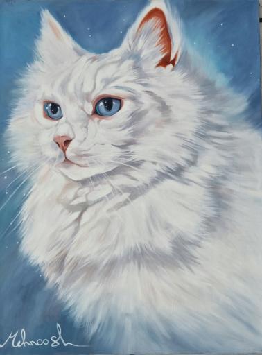 عکس گالری مهنوش