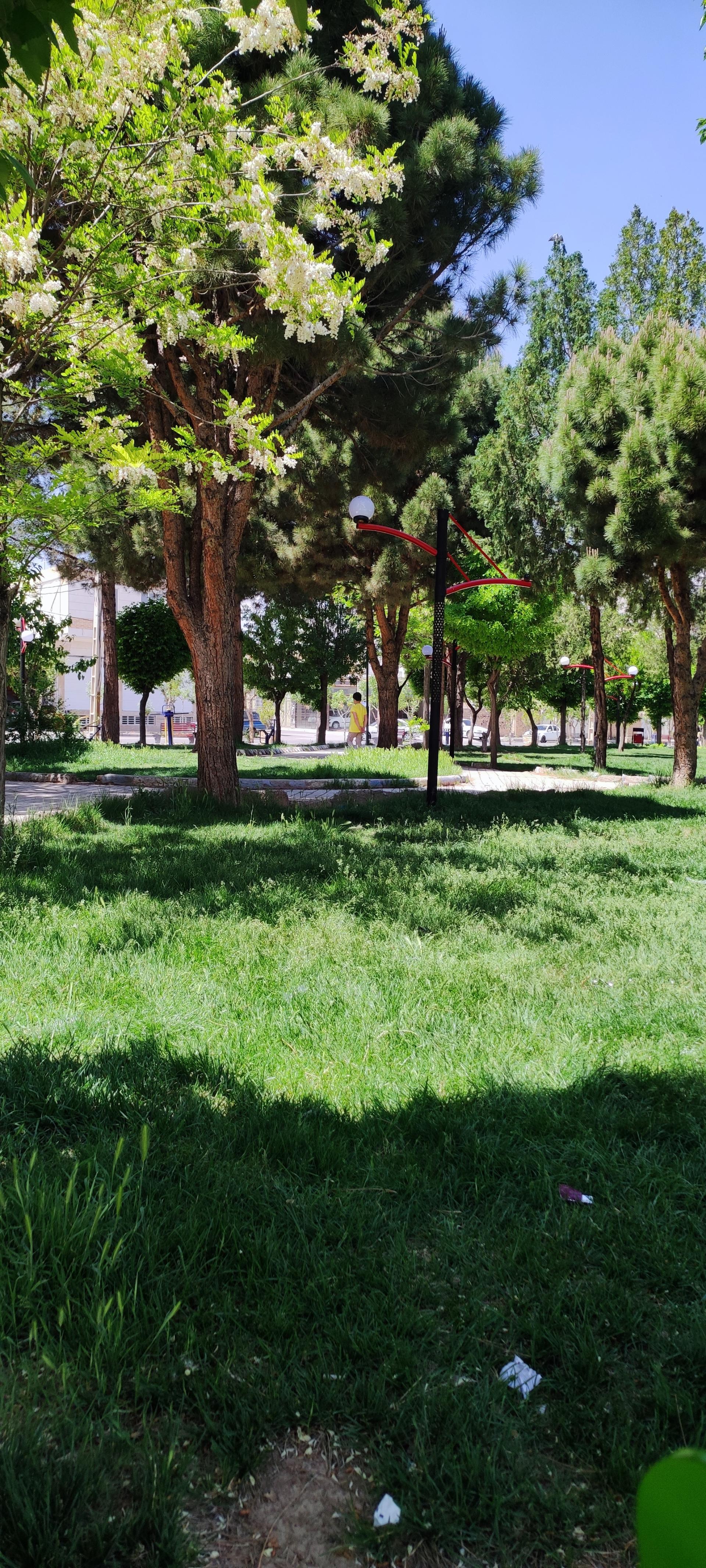 عکس بوستان ملت