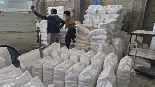 عکس نامیرا پلاست