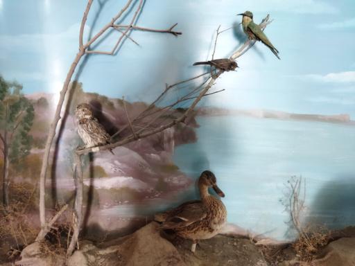 عکس سازمان محیط زیست