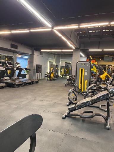 عکس باشگاه بدنسازی تارگت