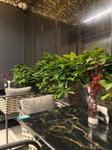 عکس کافه رستوران صدصا