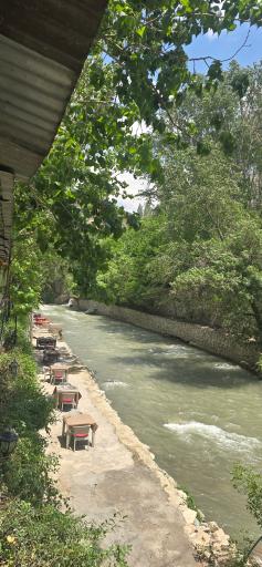 عکس رستوران میزبان