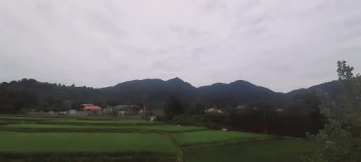 عکس کیش رودبار