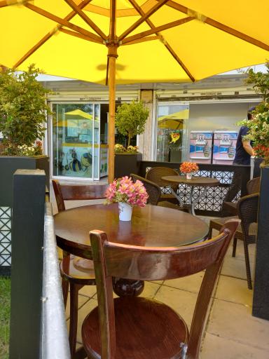 عکس آبمیوه بستنی سیب