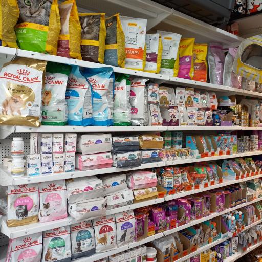 عکس کلینیک دامپزشکی دیلی پت 