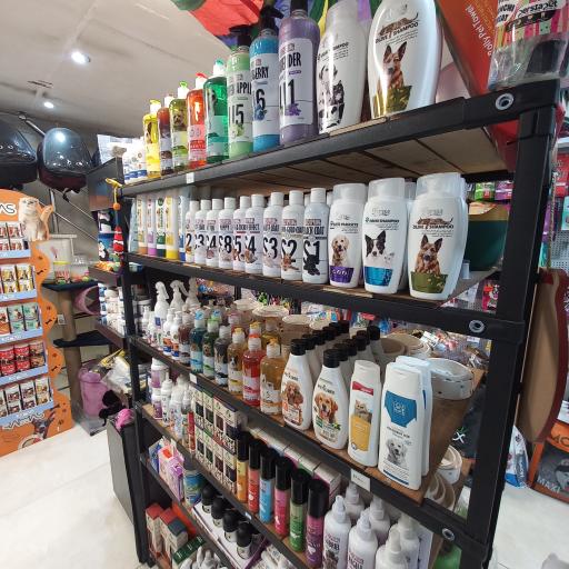 عکس کلینیک دامپزشکی دیلی پت 