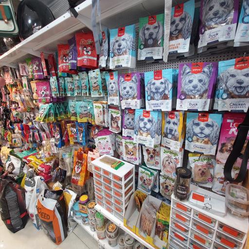 عکس کلینیک دامپزشکی دیلی پت 