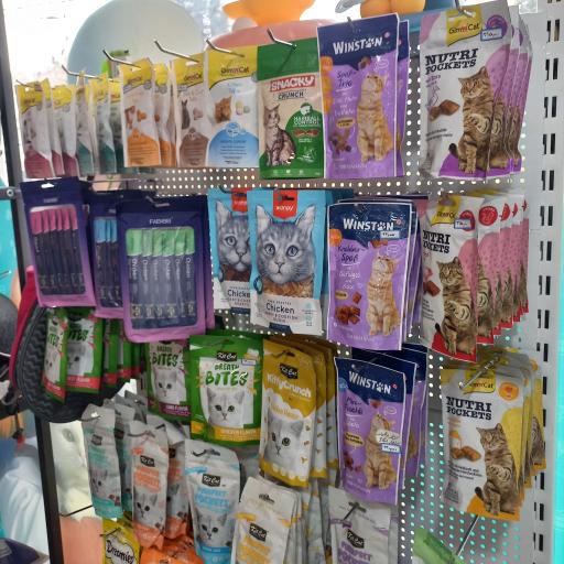 عکس کلینیک دامپزشکی دیلی پت 