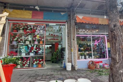 عکس گل فروشی گوهری 