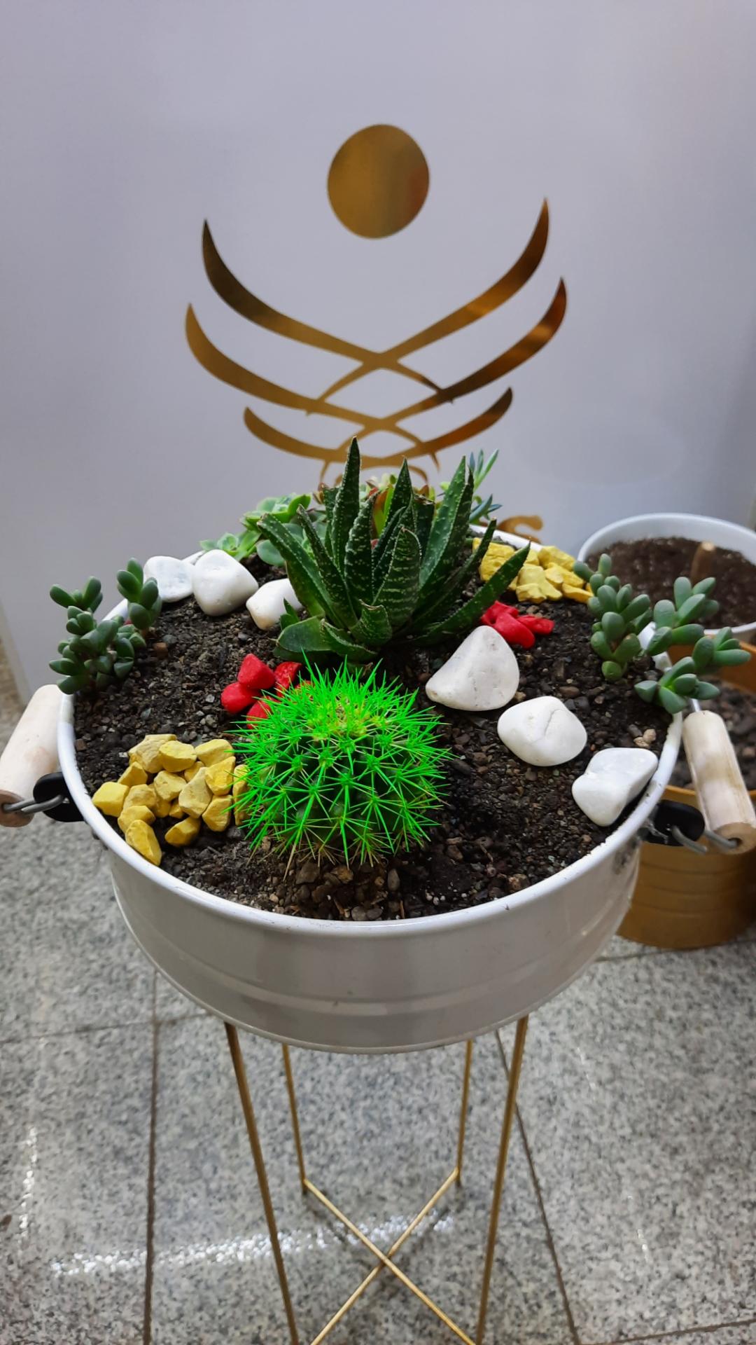 عکس گل هانیس