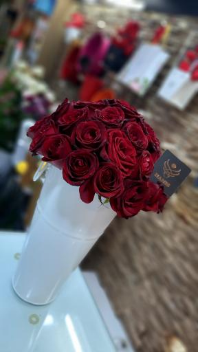 عکس گل هانیس