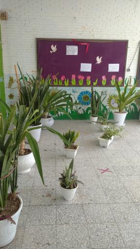 عکس دبستان نجمه