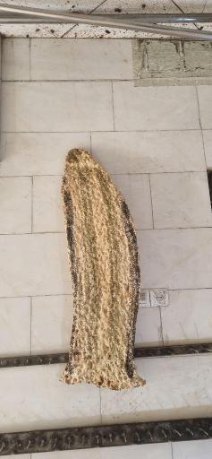 عکس نانوایی سنگک سنتی سبو 