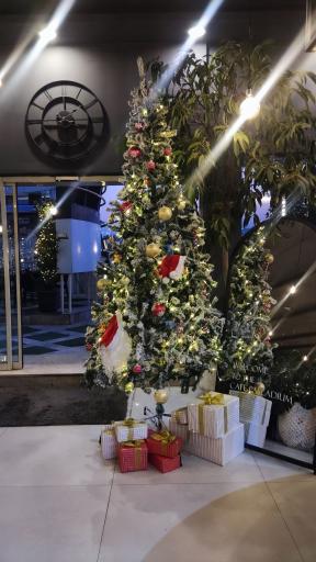 عکس کافه رستوران پالادیوم 