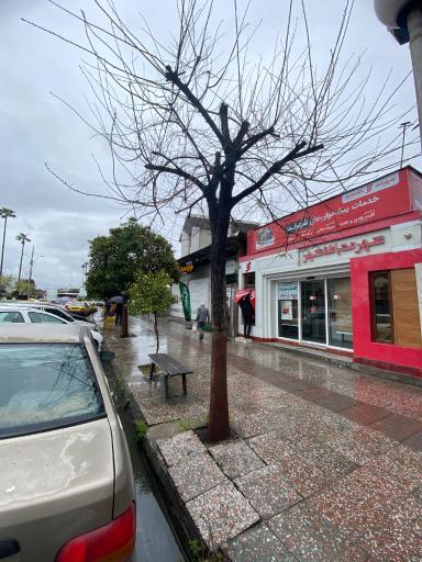 عکس شهرنت بانک شهر