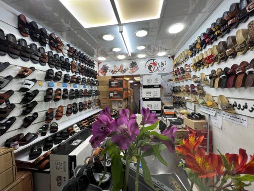 عکس كفش درپا